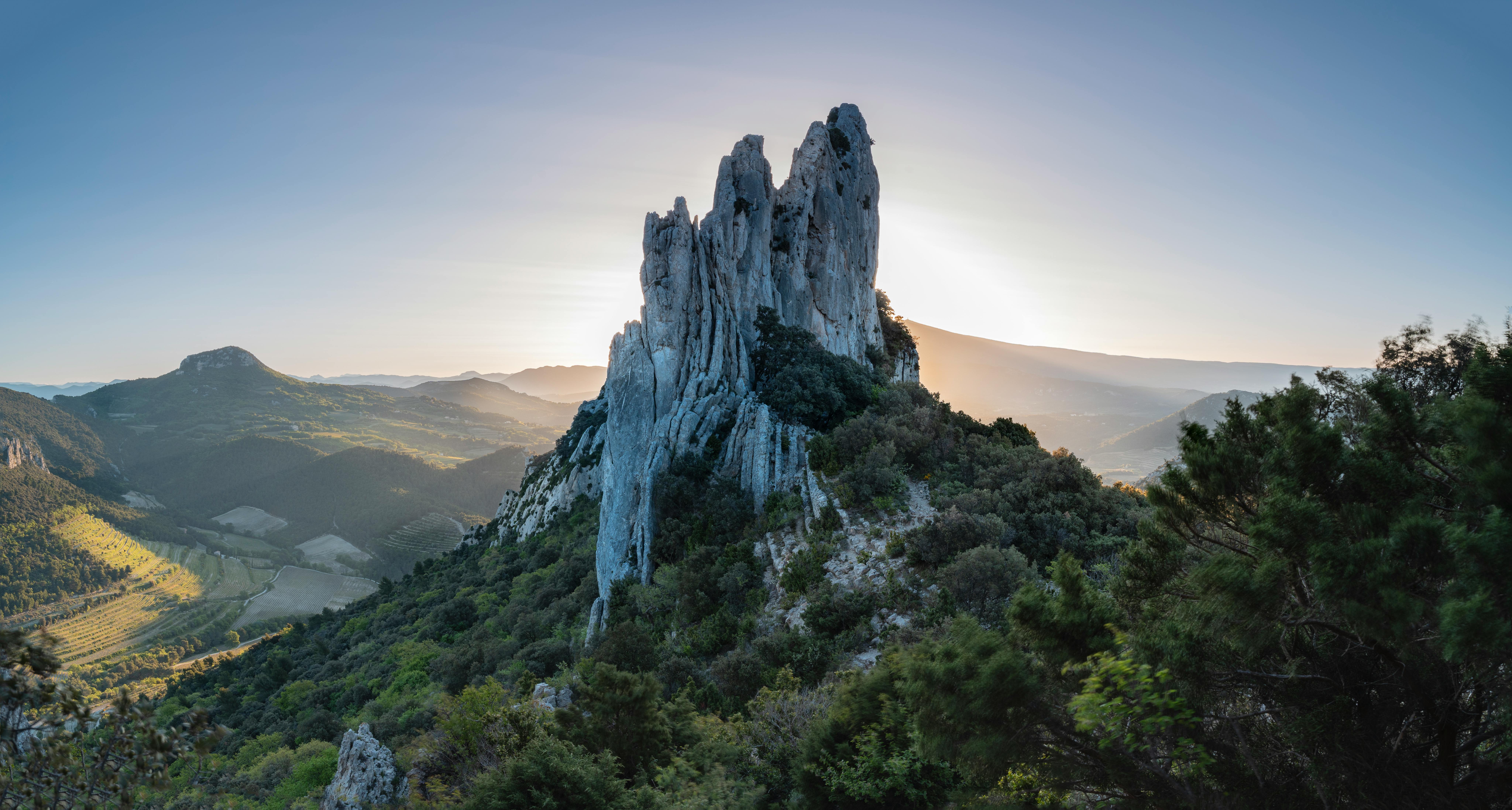 Vineyards in the Rhône Valley
